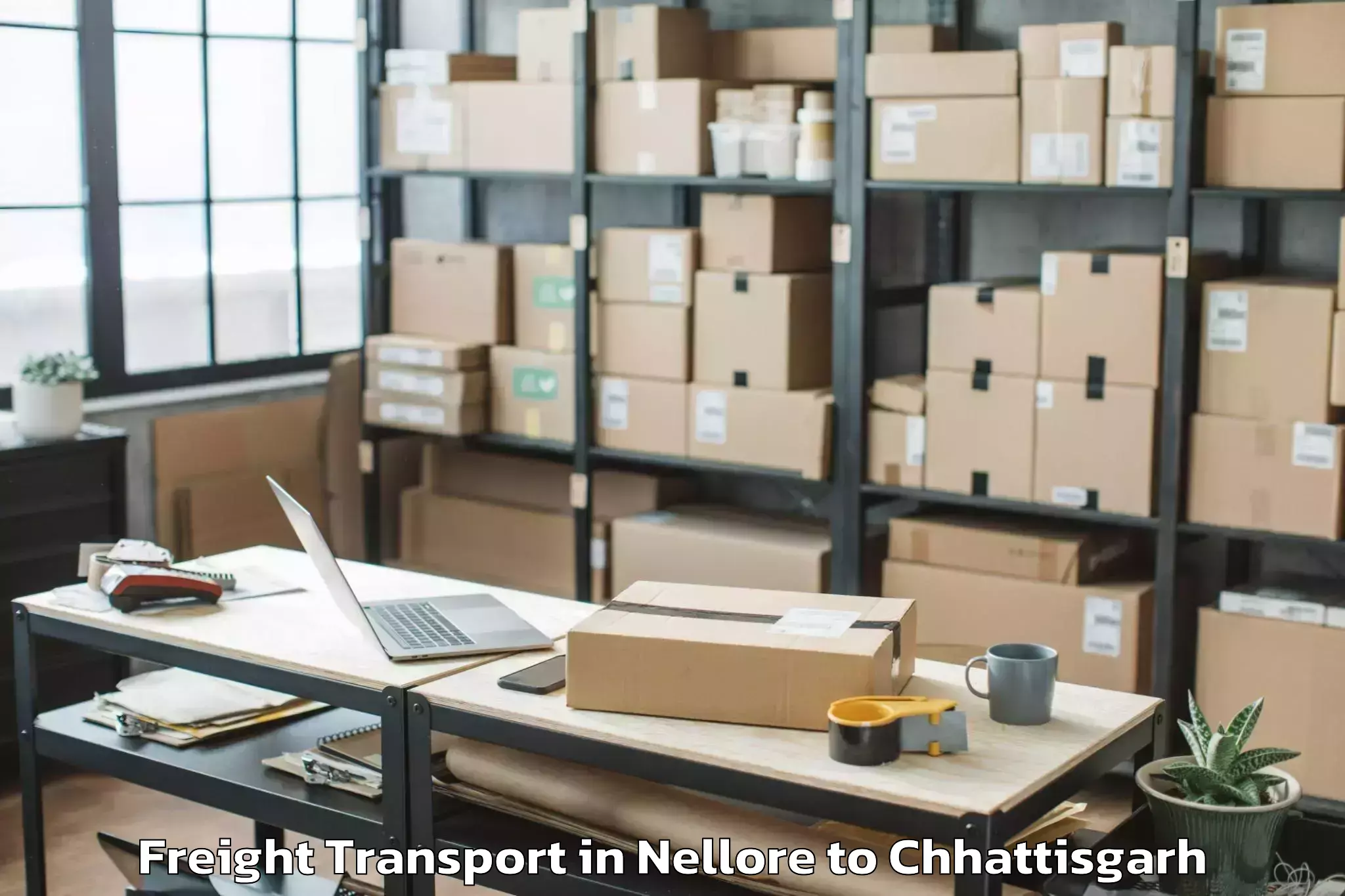 Trusted Nellore to City Center Mall Raipur Freight Transport